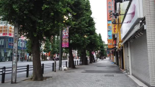 Tokyo Akihabara Wczesny Ranek — Wideo stockowe