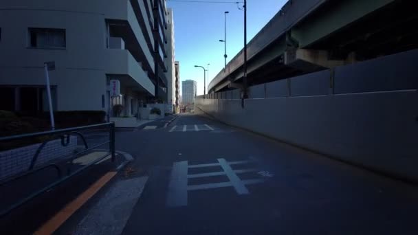Nyårsdagen Tokyo Cykling — Stockvideo