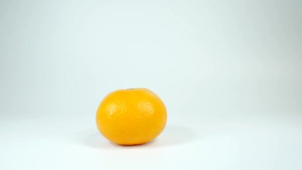マンダリンオレンジ ショートビデオクリップ — ストック動画