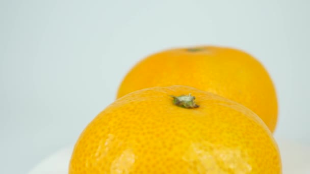 Mandarynkowy Pomarańczowy Krótki Filmik — Wideo stockowe