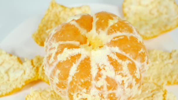 Mandarin Orange Court Clip Vidéo — Video