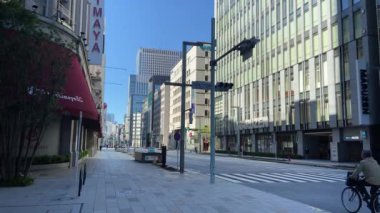 Japonya 'da Nihonbashi Tokyo Peyzaj Günü