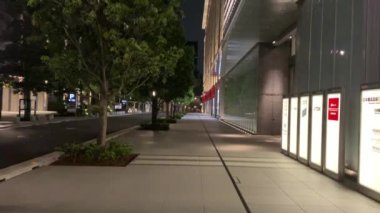 Tokyo Nihonbashi Gece Manzarası