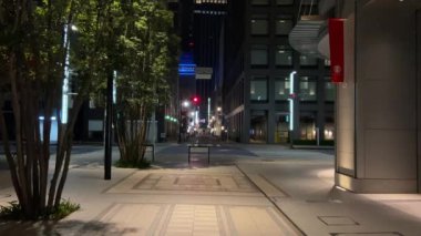 Tokyo Nihonbashi Gece Manzarası