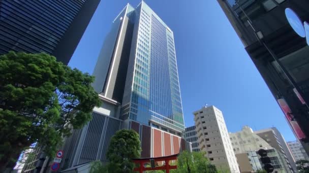 Nihonbashi Japão Tokyo Landscape Day — Vídeo de Stock
