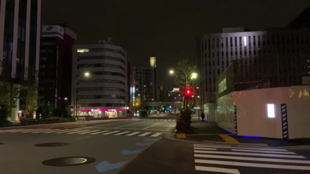 Tokyo Nihonbashi Nattutsikt — Stockvideo