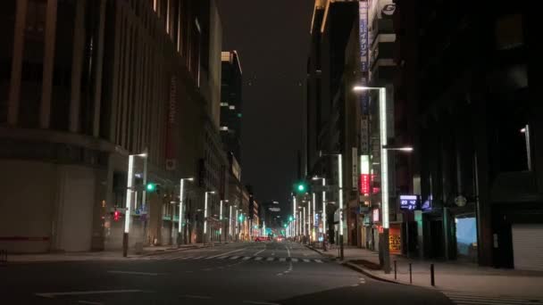 Tokyo Nihonbashi Nattutsikt — Stockvideo