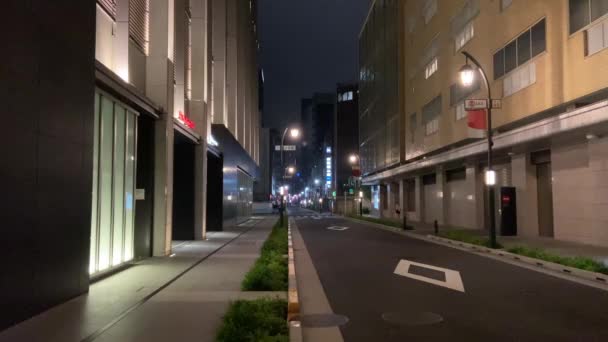 Tokyo Nihonbashi Nattutsikt — Stockvideo