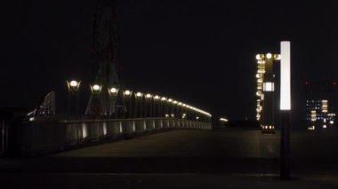 Japonya 'da Odaiba, Tokyo Gece Manzarası