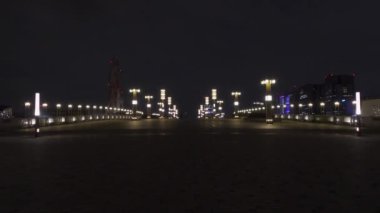Japonya 'da Odaiba, Tokyo Gece Manzarası