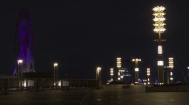 Japonya 'da Odaiba, Tokyo Gece Manzarası