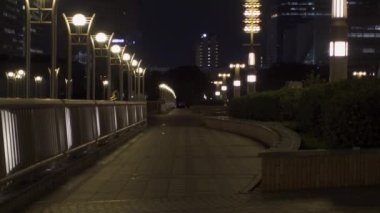 Japonya 'da Odaiba, Tokyo Gece Manzarası
