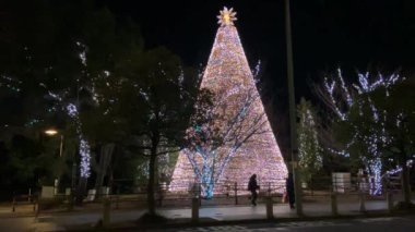 Japonya 'da Odaiba, Tokyo Gece Manzarası