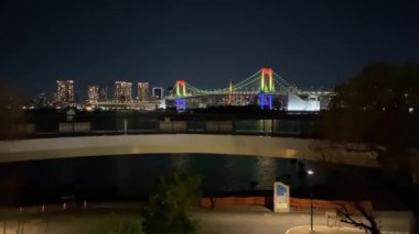 Japonya 'da Odaiba, Tokyo Gece Manzarası