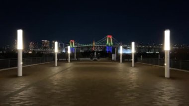Japonya 'da Odaiba, Tokyo Gece Manzarası