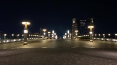Japonya 'da Odaiba, Tokyo Gece Manzarası