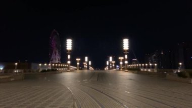 Japonya 'da Odaiba, Tokyo Gece Manzarası