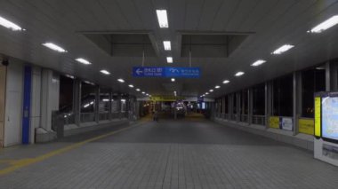 Japonya 'da Odaiba, Tokyo Gece Manzarası