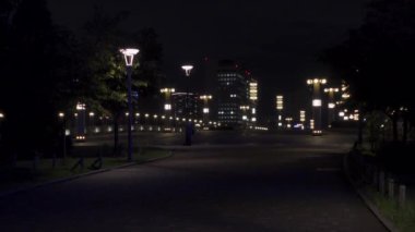 Japonya 'da Odaiba, Tokyo Gece Manzarası