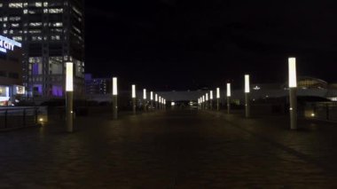 Japonya 'da Odaiba, Tokyo Gece Manzarası