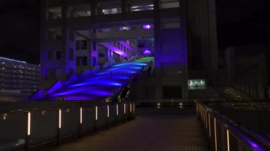 Japonya 'da Odaiba, Tokyo Gece Manzarası