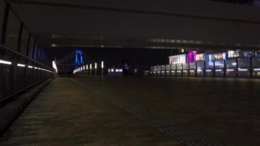 Japonya 'da Odaiba, Tokyo Gece Manzarası