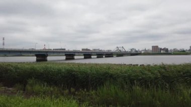 Tokyo Arakawa nehir yatağı, video klibi