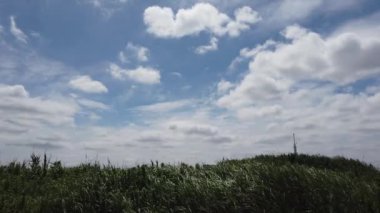 Tokyo Arakawa nehir yatağı, video klibi
