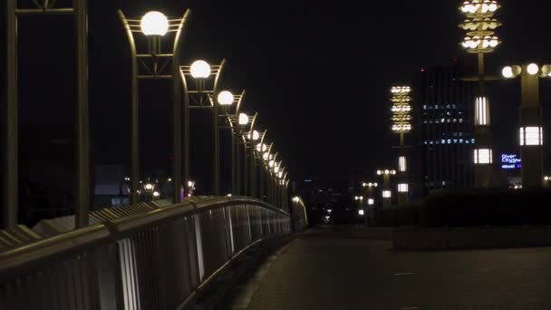 Odaiba Japan Tokyo Night View — стокове відео