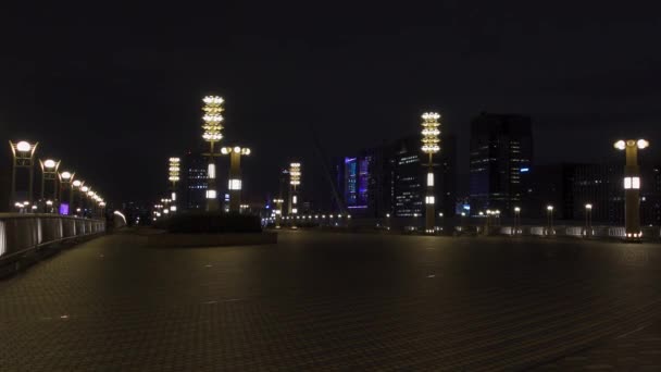 Odaiba Japonii Tokyo Night View — Wideo stockowe