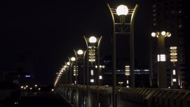 Odaiba Japonii Tokyo Night View — Wideo stockowe