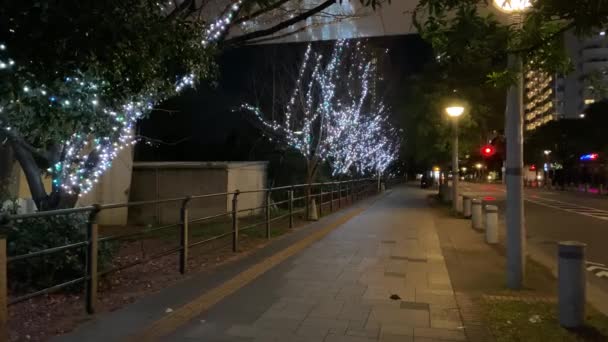 Odaiba Στην Ιαπωνία Tokyo Night View — Αρχείο Βίντεο