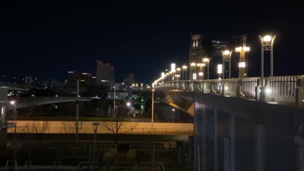 Odaiba Japão Tokyo Night View — Vídeo de Stock