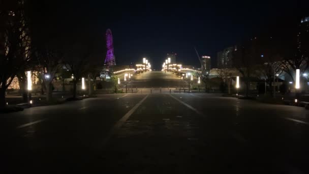 Odaiba Στην Ιαπωνία Tokyo Night View — Αρχείο Βίντεο