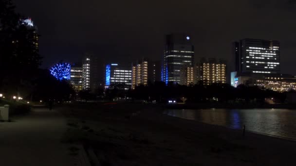 Japonya Odaiba Tokyo Gece Manzarası — Stok video