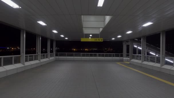 Odaiba Japan Tokyo Night View — Stockvideo
