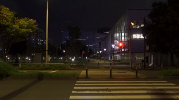 Odaiba Giappone Tokyo Night View — Video Stock