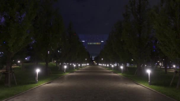 Odaiba Στην Ιαπωνία Tokyo Night View — Αρχείο Βίντεο