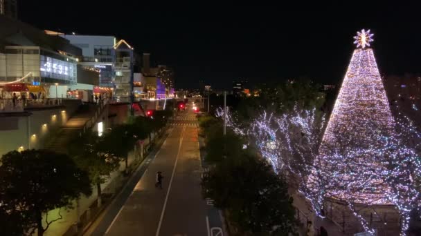 Odaiba Japan Tokyo Night View — Stock Video