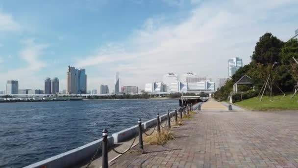 Tokio Odaiba Landschaft Videoclip — Stockvideo