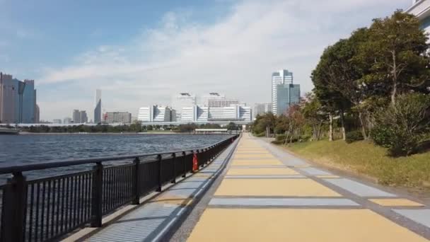 Tokio Odaiba Landschaft Videoclip — Stockvideo