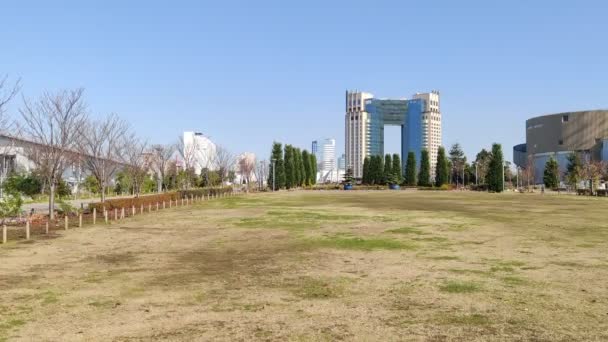 東京お台場風景 ビデオクリップ — ストック動画