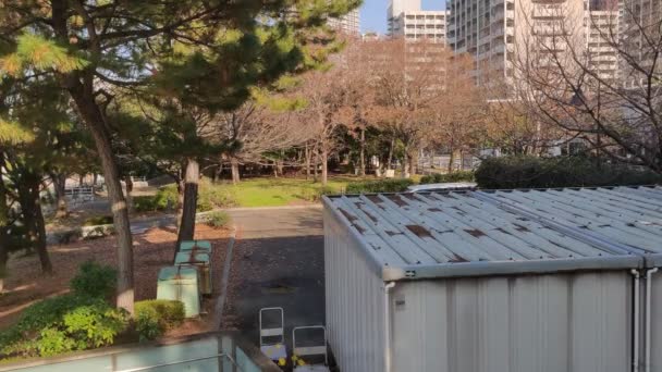 Tokio Odaiba Krajobraz Film Wideo — Wideo stockowe