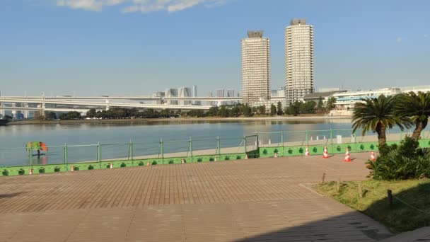 Τόκιο Odaiba Τοπίο Βίντεο Κλιπ — Αρχείο Βίντεο