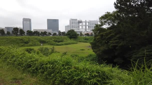 Tokyo Odaiba Landskap Videoklipp — Stockvideo