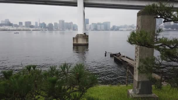 Tokio Odaiba Paisaje Video Clip — Vídeos de Stock