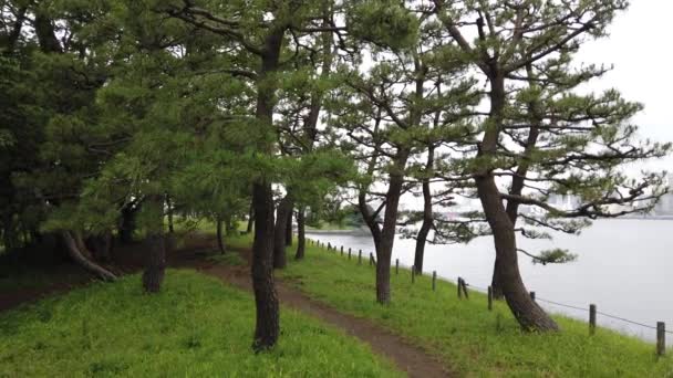 Τόκιο Odaiba Τοπίο Βίντεο Κλιπ — Αρχείο Βίντεο