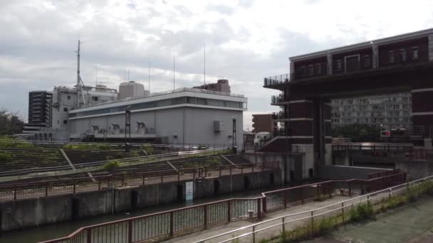 Токийское Русло Реки Аракава Видеоклип — стоковое видео