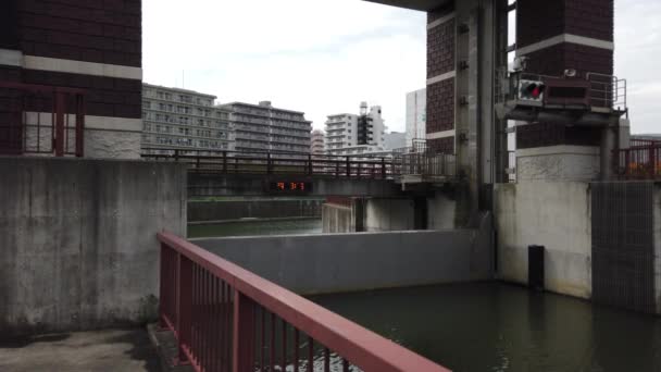 Tokio Arakawa Lecho Del Río Clip Vídeo — Vídeos de Stock