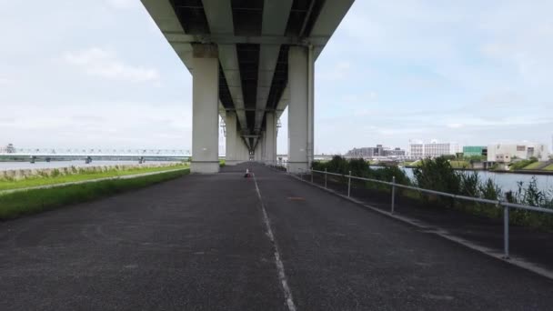 Сторінка Річки Токіо Аракава Відео — стокове відео